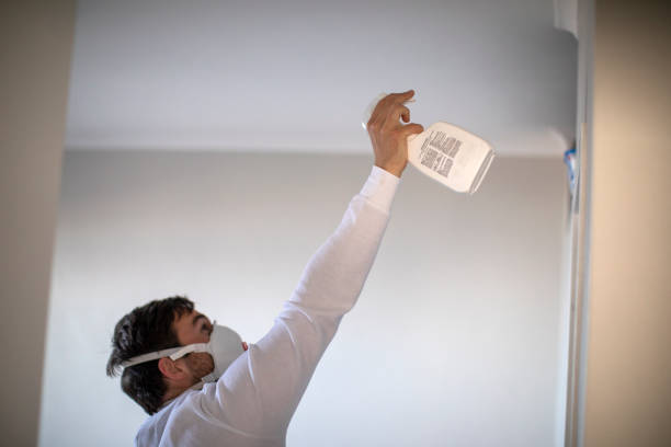 Best Residential Mold Removal  in Florence Graham, CA