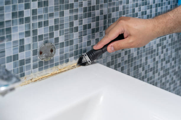 Best Same-Day Mold Removal  in Florence Graham, CA